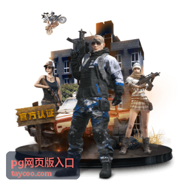 PG网页版入口试玩专区的玩法选择与总结画面