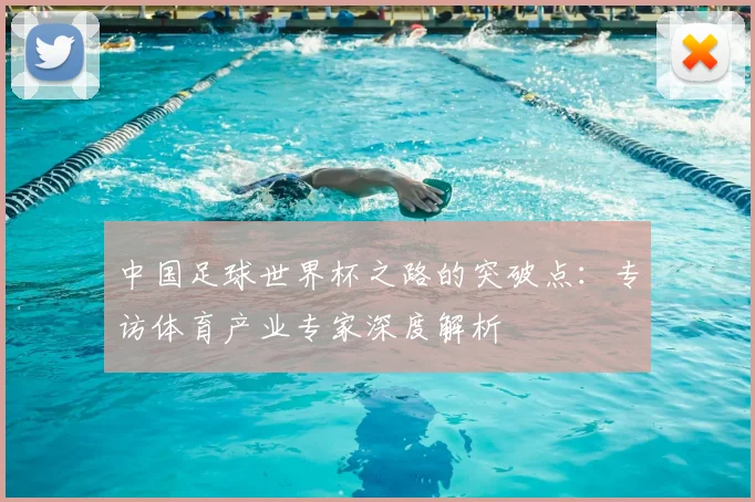 中国足球世界杯之路的突破点:专访体育产业专家深度解析