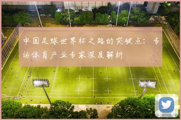 中国足球世界杯之路的突破点:专访体育产业专家深度解析